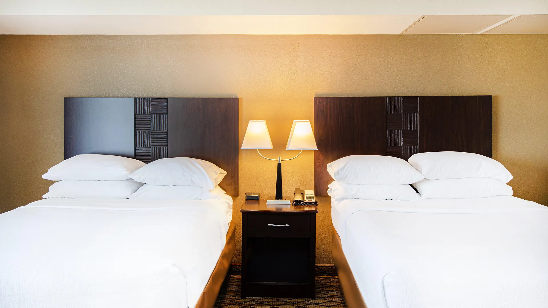 Holiday Inn St. Louis Airport West Earth City By Ihg 3*,
